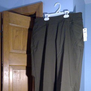 NWT - Talbots Slimming Fall Straight Leg Pants